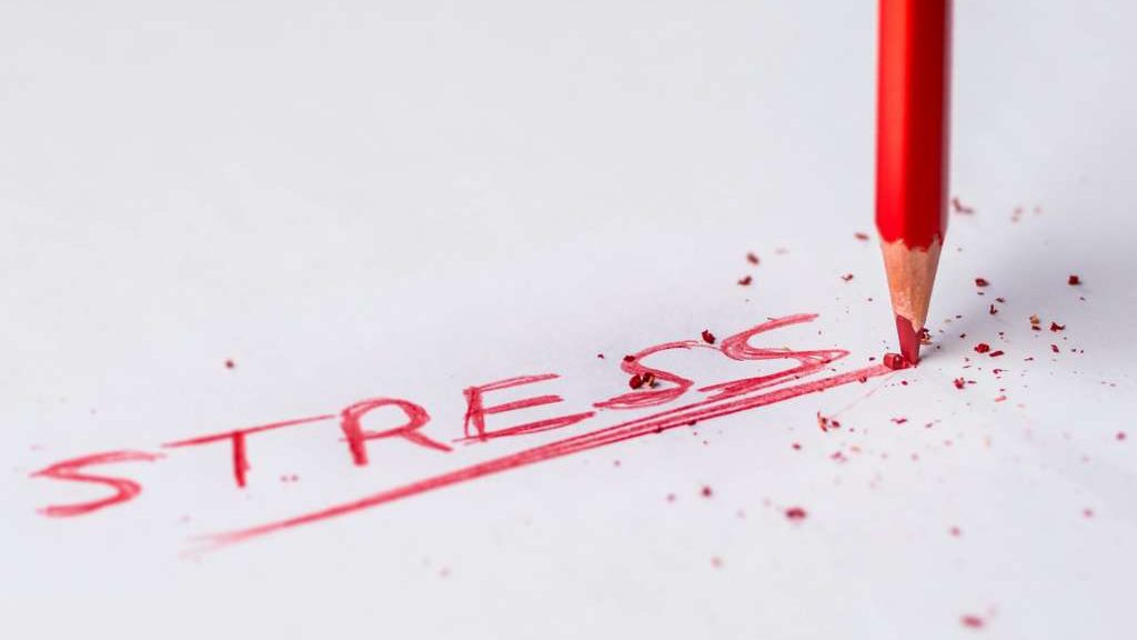 Stress: Ein Phänomen des Alltags und Strategien zur Bewältigung